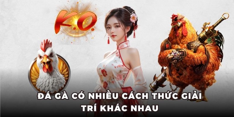 Đá gà có nhiều cách thức giải trí khác nhau
