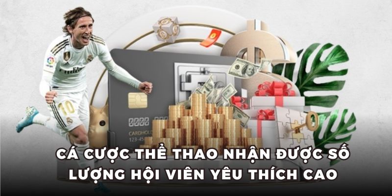 Cá cược thể thao nhận được số lượng hội viên yêu thích cao